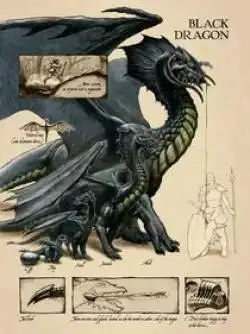 Dragon Negro Descripción